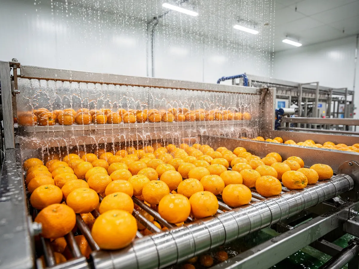 Fresh citrus being washed