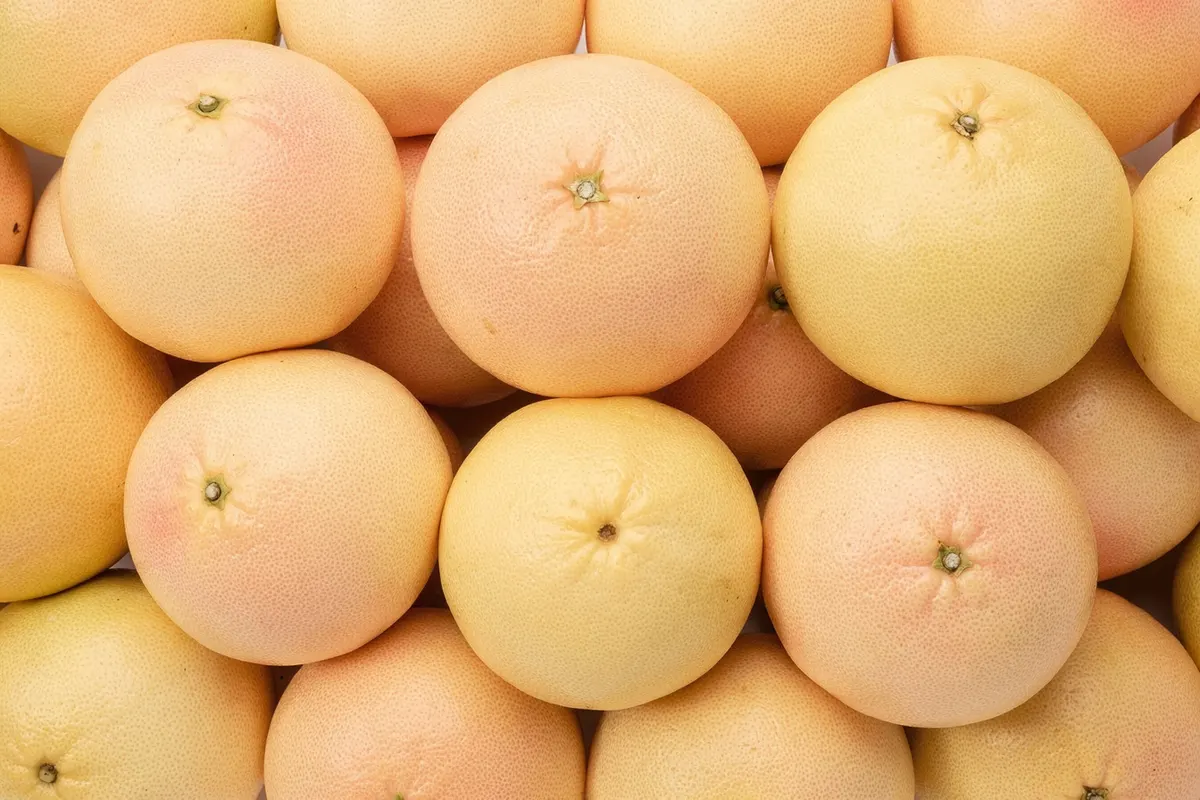 Fresh Egyptian red grapefruit