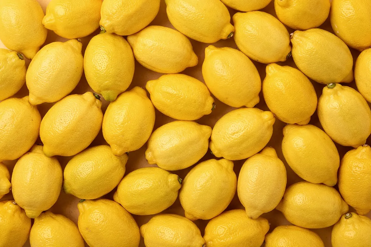 Fresh Egyptian lemons