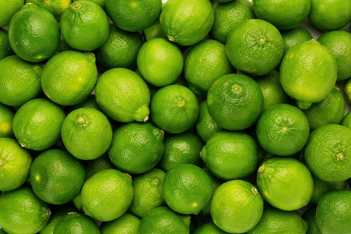Fresh green limes